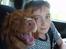 Nova scotia duck tolling retriever Cindy
