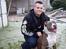 Amerikansk staffordshire terrier Aico R.I.P - Fars præmiehund!!