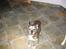 Blanding af racer Buster R.I.P.