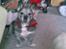 Blanding af racer Buster R.I.P.
