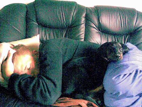 Dobermann Torontos Xenta *R.I.P.* - Mig og far der lige tager en lur på divaen!! :-) billede 3