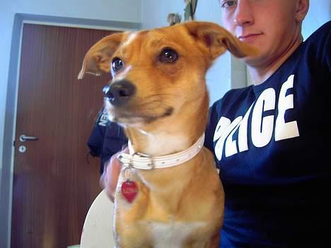 Blanding af racer Luna - Hvor er verden bar stor.... billede 20