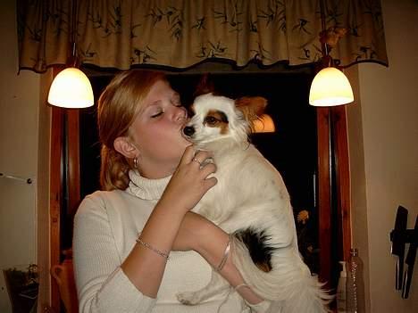 Blanding af racer Futte billede 9