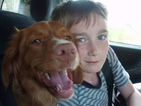 Nova scotia duck tolling retriever Cindy billede 19