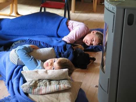 Blanding af racer Java - Hmm dejligt at sove med familen :) billede 2