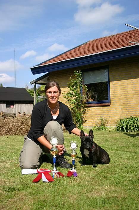 Fransk bulldog Aja - Alle Aja´s præmier fra Bøsøre d. 18 maj 2007 billede 8