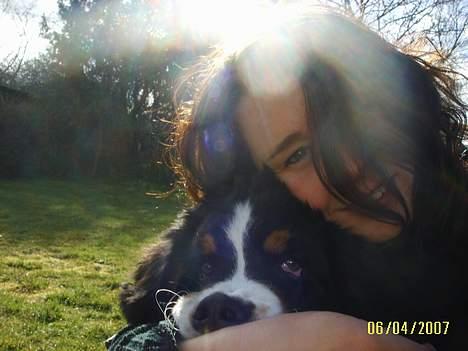 Berner sennenhund Figo - Figo og Mor i solen billede 20