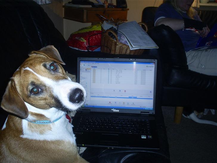 Blanding af racer Bacardi :)  - er lige på msn hihi billede 17