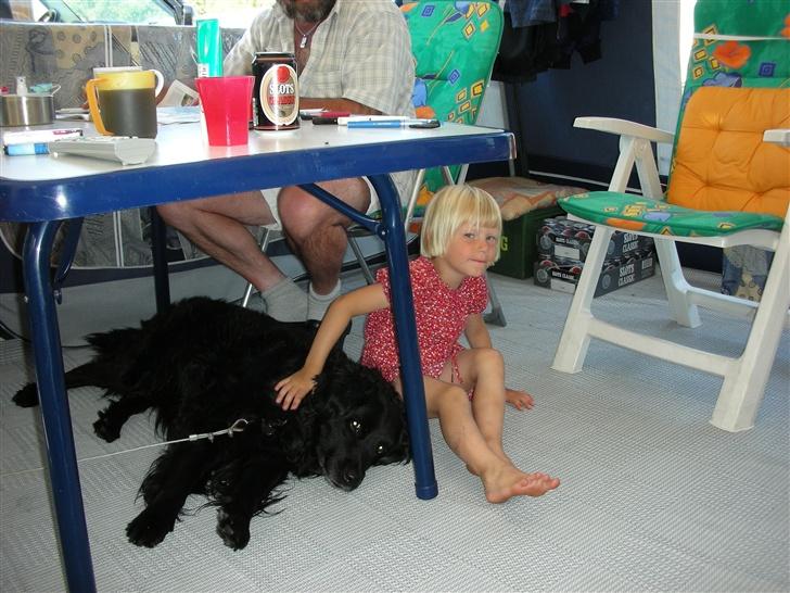 Blanding af racer thais billede 2