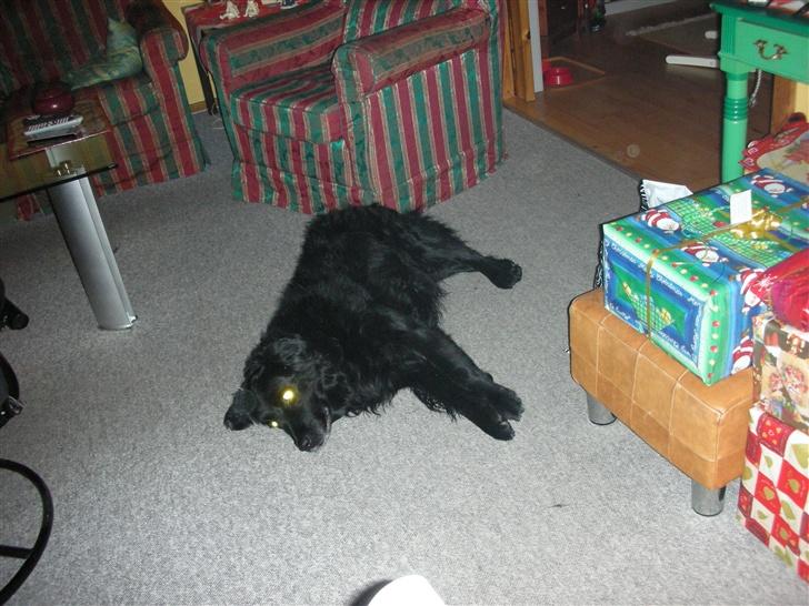 Blanding af racer thais billede 5