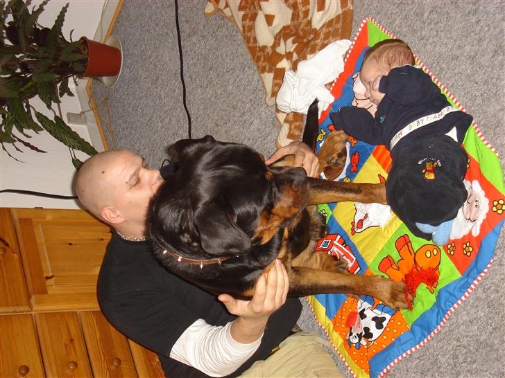 Rottweiler Kingzo - Keld Killian og Kingzo billede 5