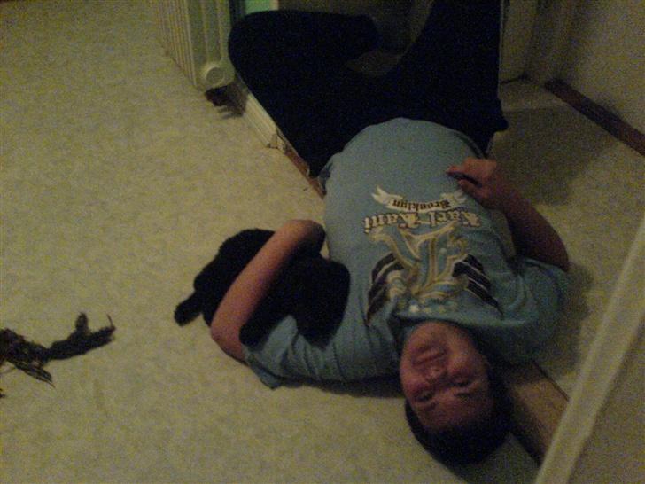 Blanding af racer skarledt og dasey - elesker min små hvalpe billede 8