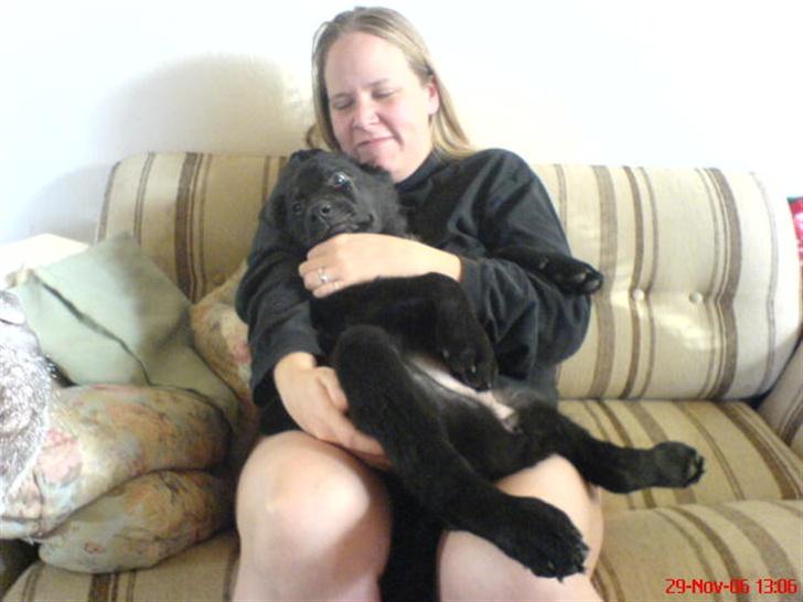 Blanding af racer skarledt og dasey billede 11