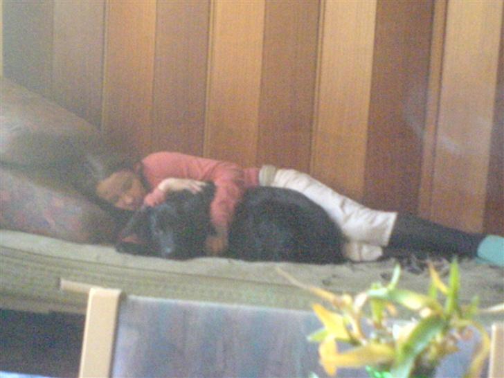 Blanding af racer skarledt og dasey - he dasey synes ik min søs skulle sove alene billede 17