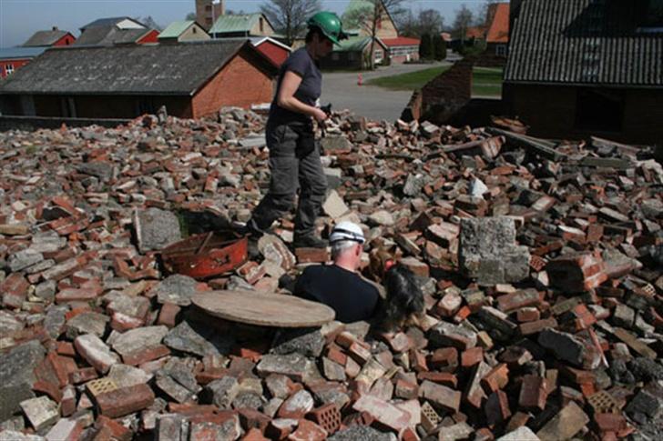 Australian silky terrier Quick Sílk´s Barney - Endnu en fundet, han elsker det virkelig.......  billede 20