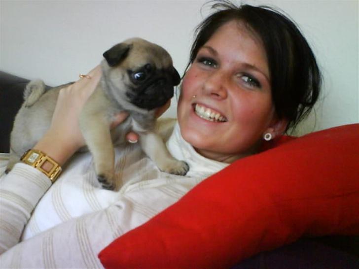 Mops Foxy    R.I.P billede 7