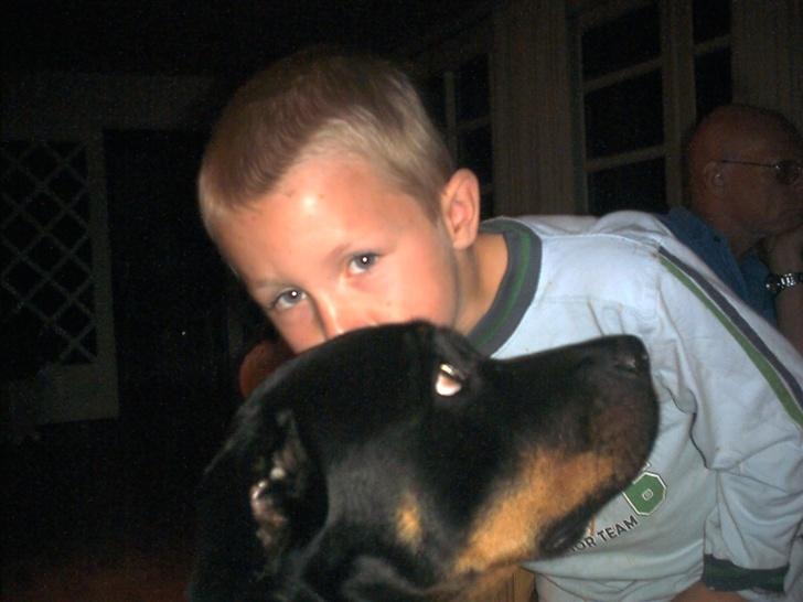 Rottweiler Nausica - min bedste boldkammerat Oliver gir mig et kys billede 14