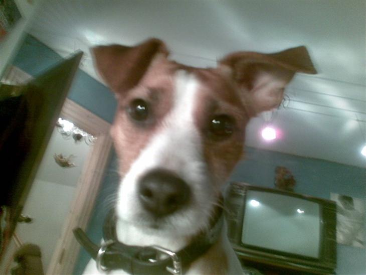 {{currentPhoto.altText}} billede {{currentPhoto.number}}