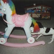 Dansk svensk gaardhund Lady