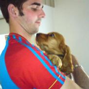 Cocker spaniel chico