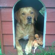 Blanding af racer Kanto