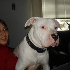 Blanding af racer Tyson