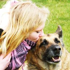 Schæferhund Nathja 13½ RIP d.27.03.09