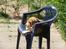 Beagle *  Princess Leika  * RIP - Det er min ynglingsplads i haven.
