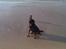 Rottweiler Bailey * R.I.P *