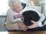 Labrador retriever Paw (Død 30-10-09) R.I.P  - Deler lige tyggegummi med Malle <3