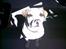 Amerikansk bulldog Kenzo