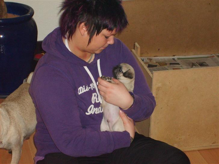 Mops Frede... - Mor og jeg hygger billede 7