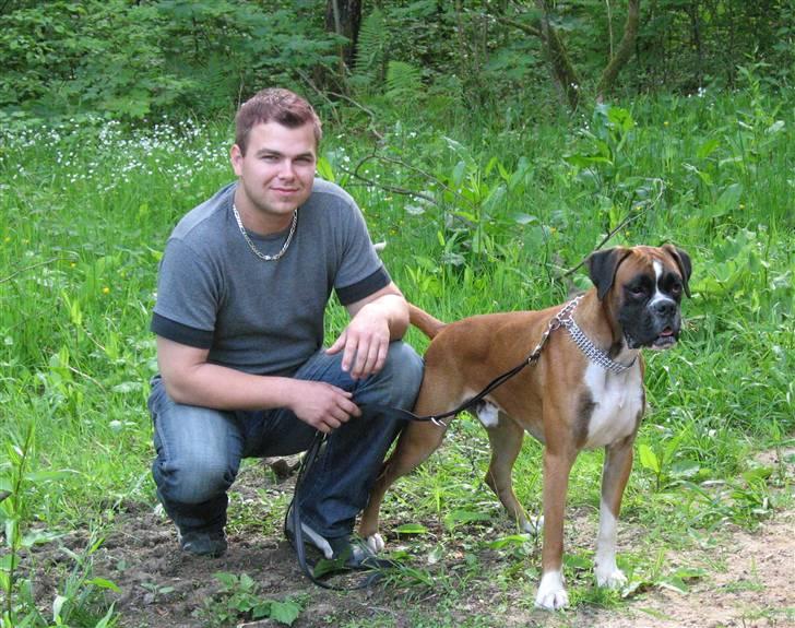 Boxer Qato billede 12