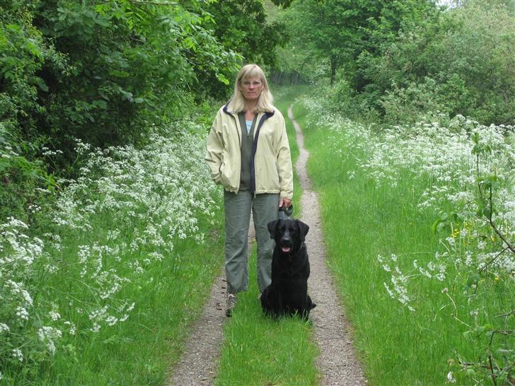 Labrador retriever Marcus - Min mor og Marcus på vores tur i skoven billede 4