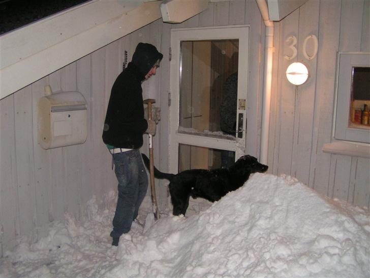 Blanding af racer Frans <3 RIP :( - Kom så brormand, så fjerner vi alt sneen!? billede 8