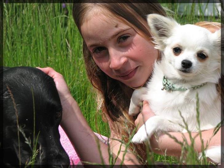 Labrador retriever Molly - Mig og noget af molly og min nabos hund som også er her inde under Chihuahua Everybodys Darling  billede 2
