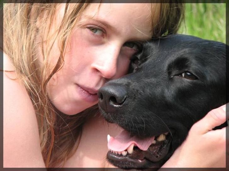 Labrador retriever Molly - Mig og Molly billede 9