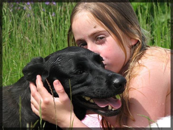 Labrador retriever Molly - Molly og mig igen billede 10
