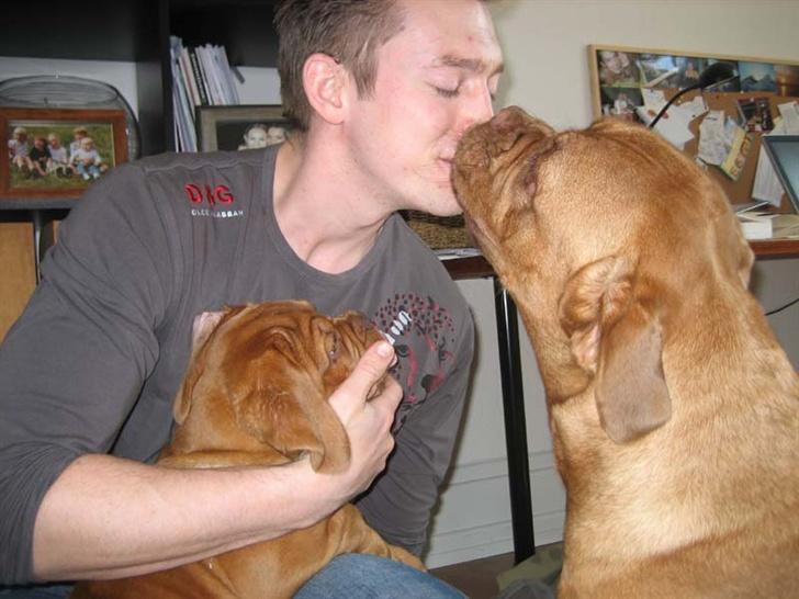 Dogue de bordeaux Vega - Heeeeey far! billede 14