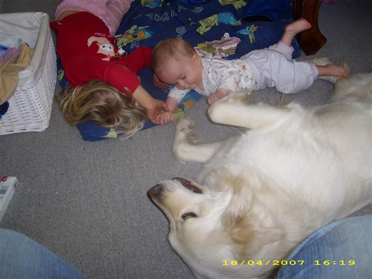 Blanding af racer nikita billede 14