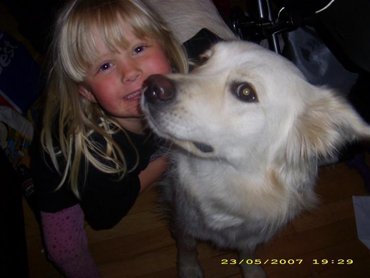 Blanding af racer nikita billede 15