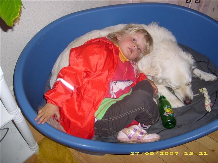 Blanding af racer nikita billede 17