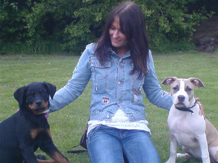 Amerikansk staffordshire terrier Princess Babe R.I.P.  :( billede 15