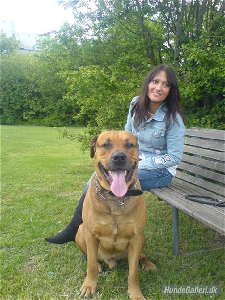 Blanding af racer Bonsai *RIP 19/8 2010* - Bonsai og min Bedste veinde Louise billede 8