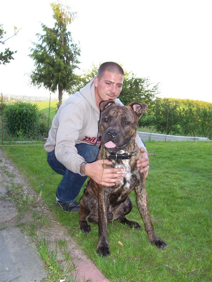 Blanding af racer chico billede 1