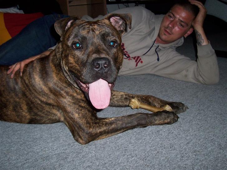 Blanding af racer chico billede 3