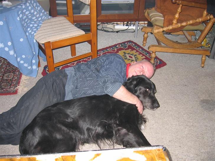 Blanding af racer Buller R.I.P billede 1