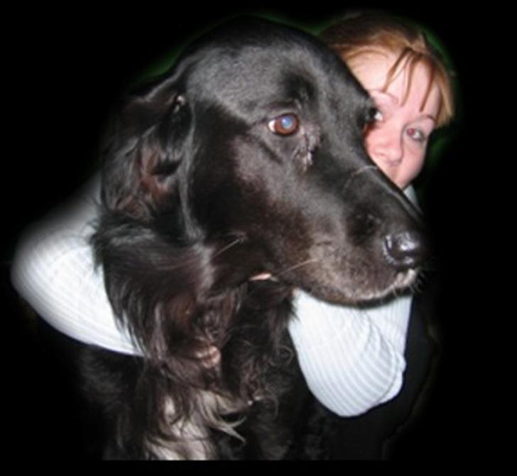 Blanding af racer Buller R.I.P billede 9