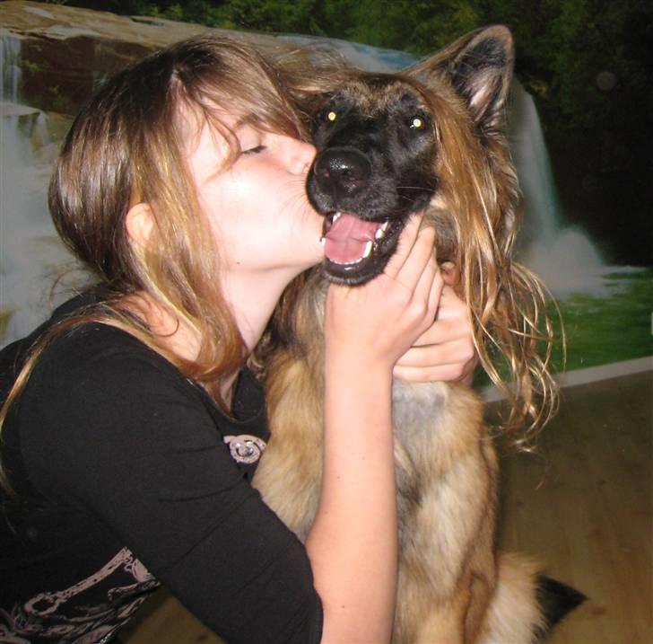 Tervueren Chico-Erik - Hahaaaaaaa!!!!    Jeg har fået hår!!!! billede 1