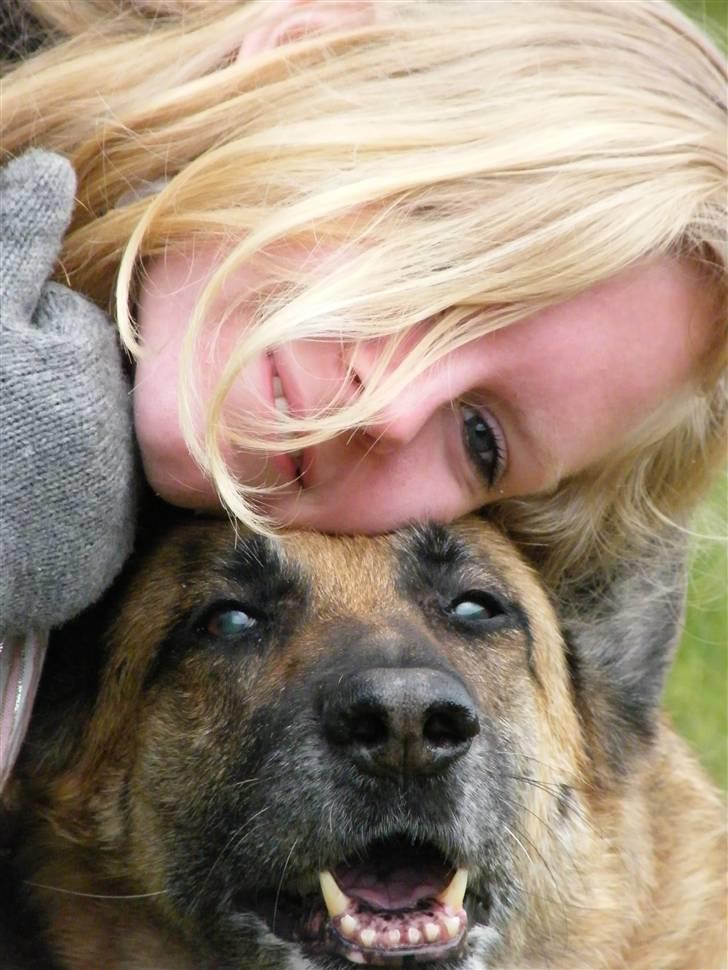 Schæferhund Nathja RIP - 2009/ 13½ ÅR - Nathja & jeg D. 11 Marts 2009. (SAVNER DIG) :`/ billede 20